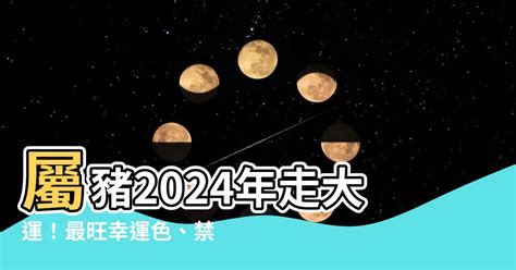 屬豬終身幸運色|【屬豬幸運色】屬豬者專屬幸運色！2024豬年最強運勢指南